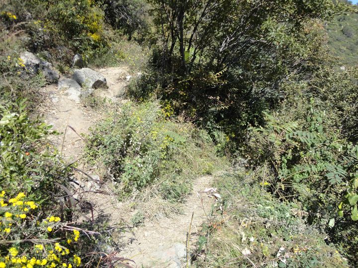 凤凰岭外围一圈岔路口