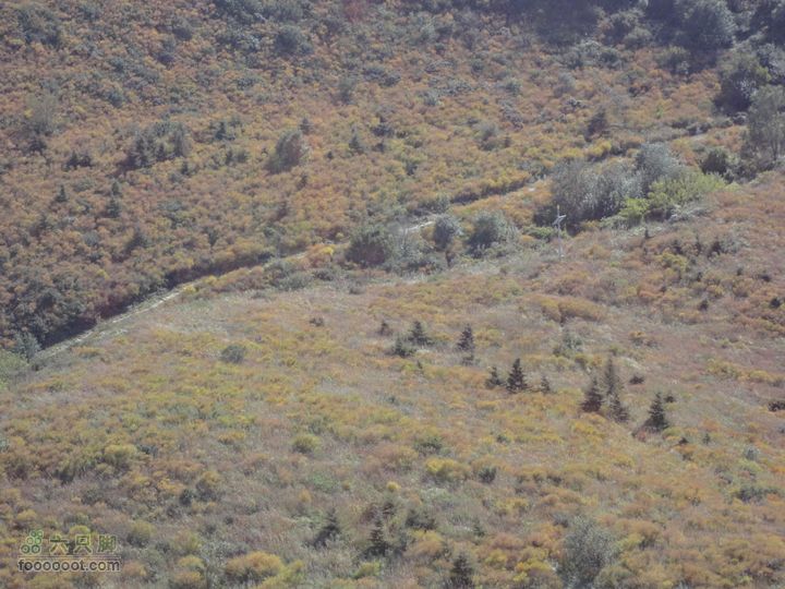 凤凰岭外围一圈大风口下山路