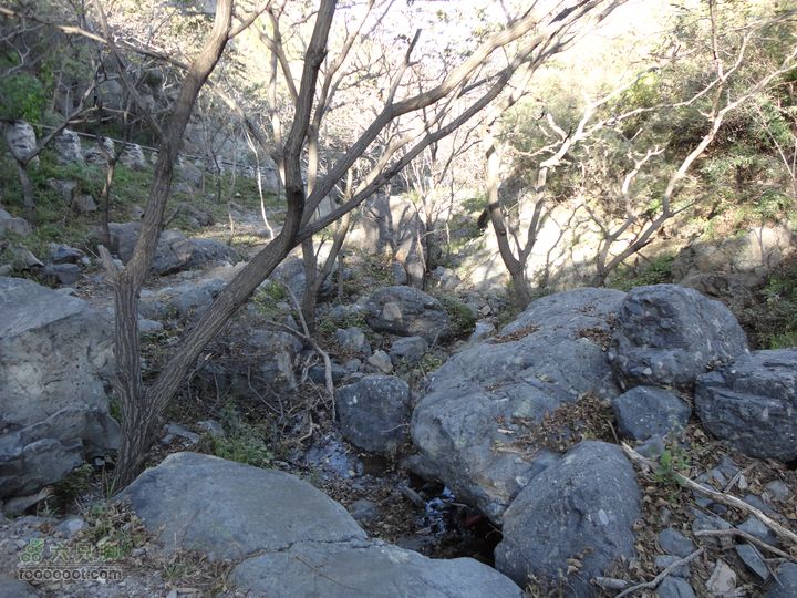 凤凰岭外围一圈山溪乱石2