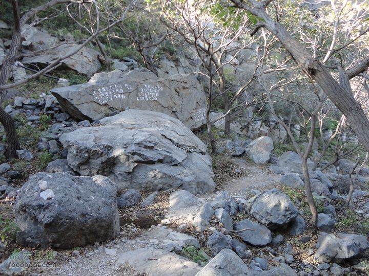 凤凰岭外围一圈山溪乱石