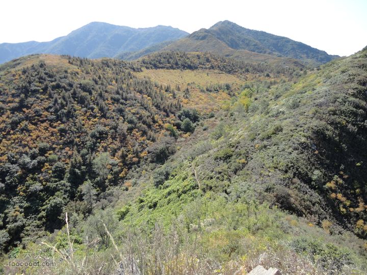 凤凰岭外围一圈望阳台山