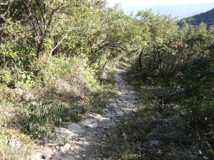 凤凰岭外围一圈下山小路2