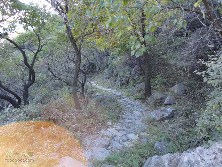 凤凰岭外围一圈下山小路