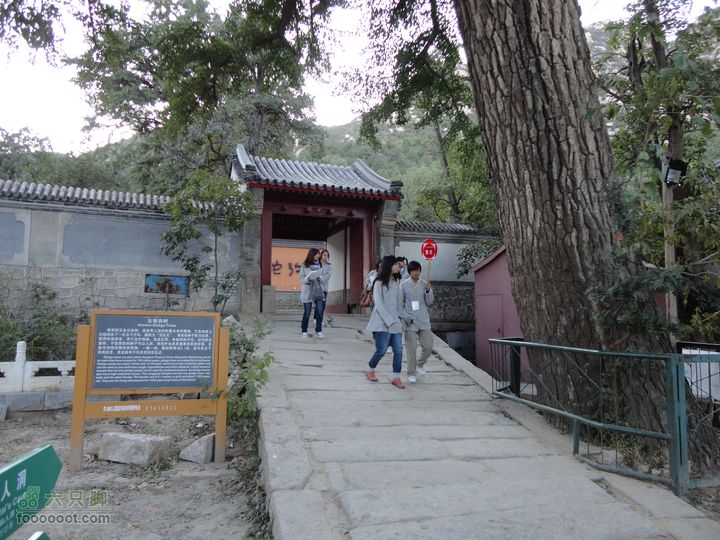 凤凰岭外围一圈信众