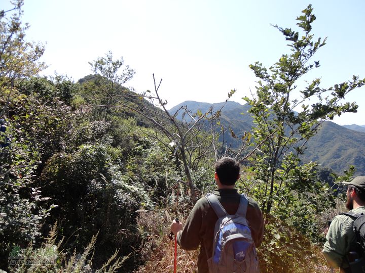 凤凰岭外围一圈远望阳台山