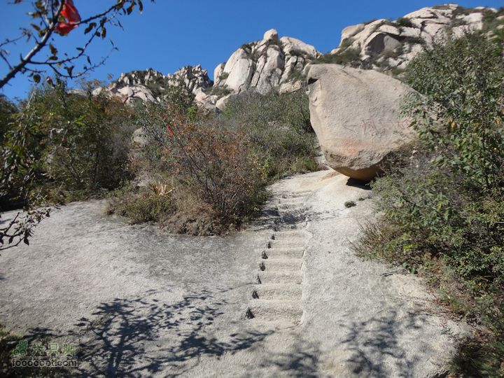 凤凰岭外围一圈左去凤凰岭，右去遇佛顶