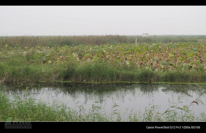 【西南骑兵团】2011.10.4山西骑行4D黄河浮桥、洽川IMG_3425