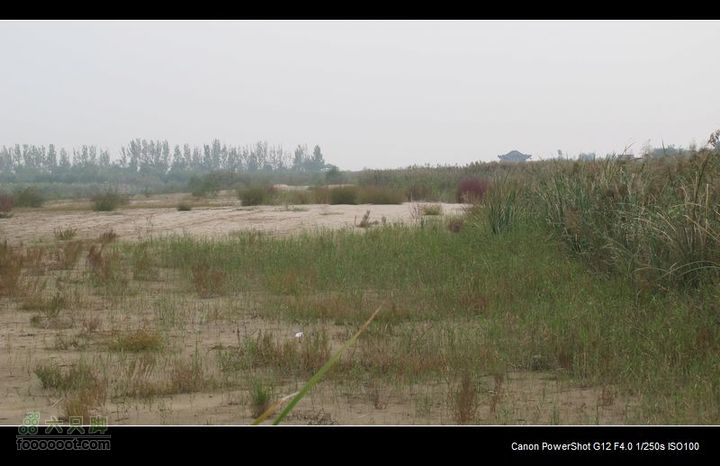 【西南骑兵团】2011.10.4山西骑行4D黄河浮桥、洽川IMG_3430
