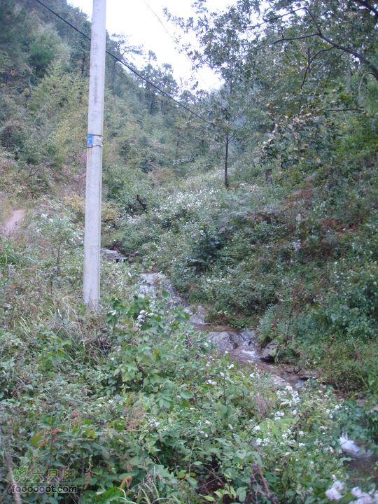 徽杭古道加清凉峰徽杭古道