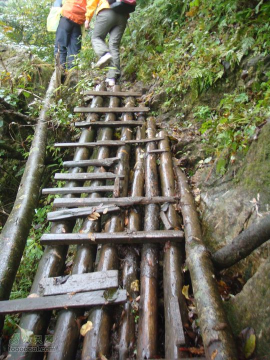 徽杭古道加清凉峰有个木梯