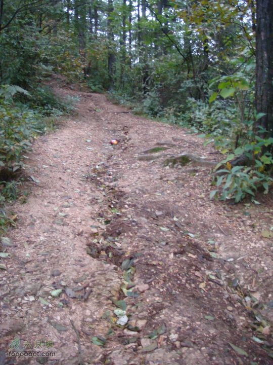 徽杭古道加清凉峰上清凉峰的路
