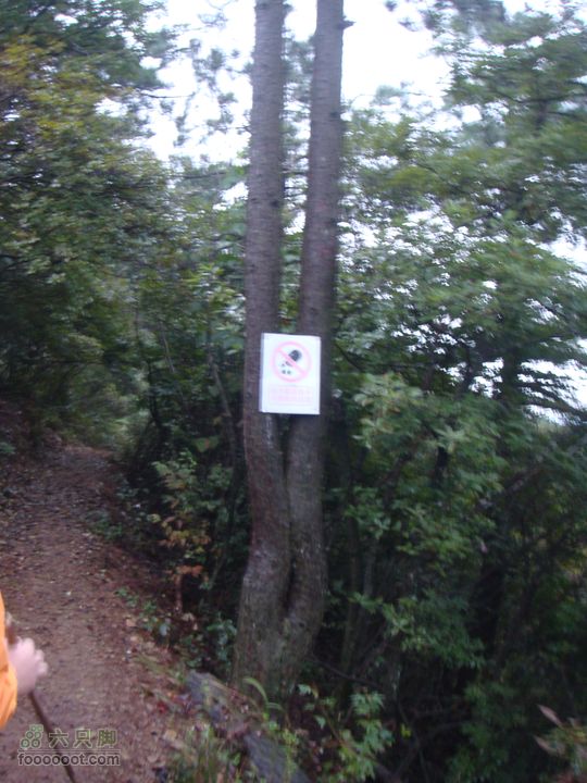 徽杭古道加清凉峰不敢相信这路是踩出来的