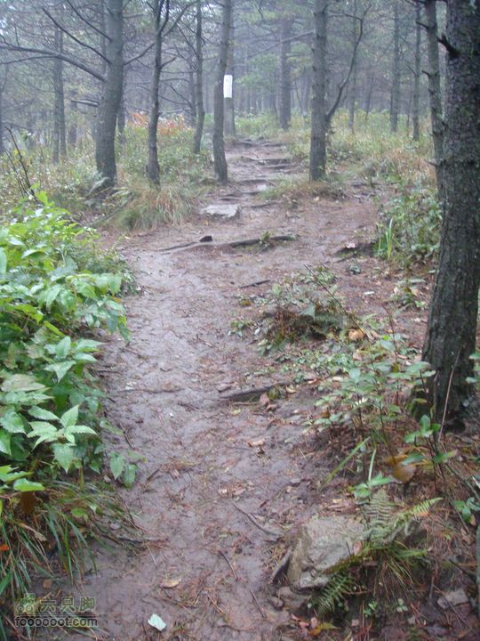 徽杭古道加清凉峰路况还不错