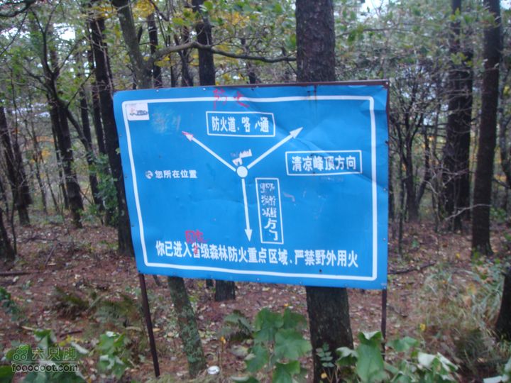 徽杭古道加清凉峰三岔路口（防火道）