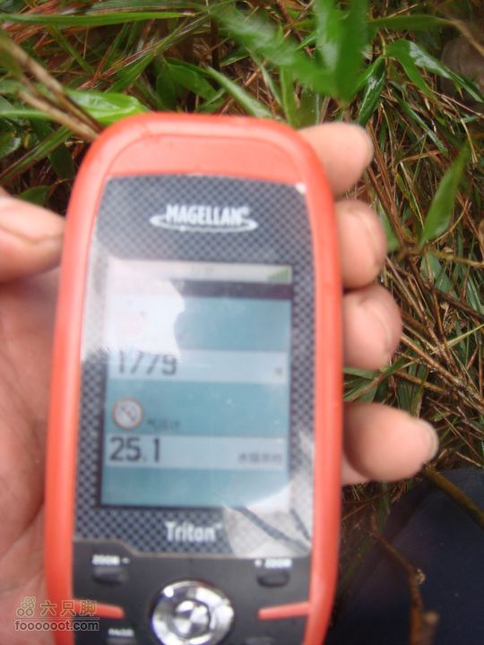 徽杭古道加清凉峰GPS测试海拔高度1779米