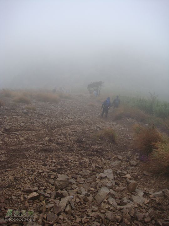 徽杭古道加清凉峰由于风实在太大，被迫下山了