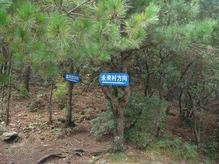 徽杭古道加清凉峰三岔路口指示牌
