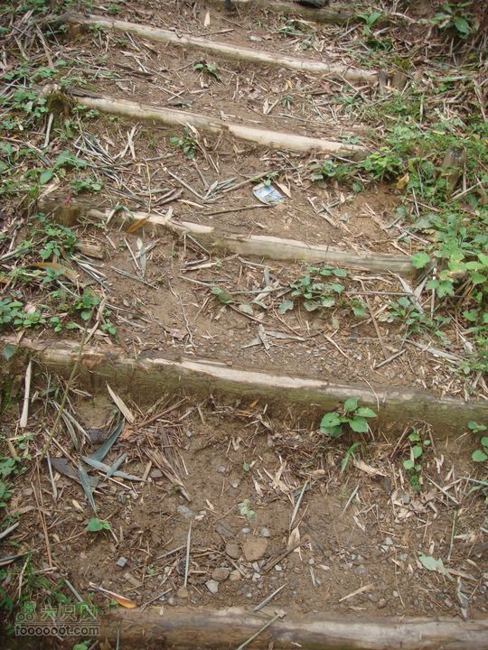 徽杭古道加清凉峰古道（用木头铺的台阶）
