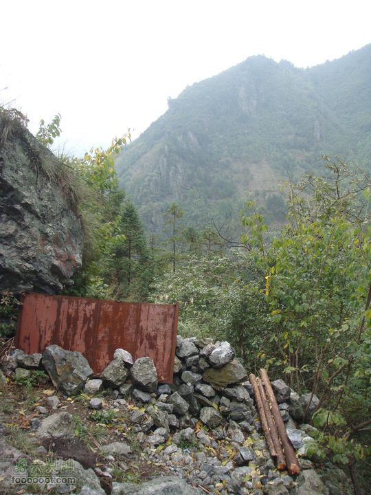 徽杭古道加清凉峰过3根木头往前走