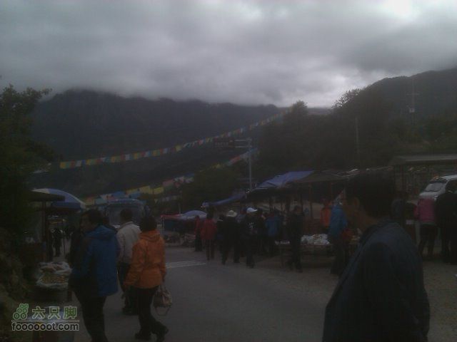 雅鲁臧布大峡谷，南一沟照片21