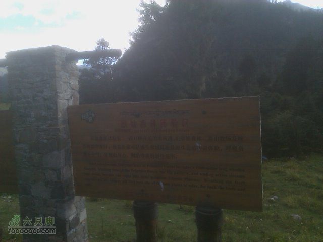 雅鲁臧布大峡谷，南一沟照片34