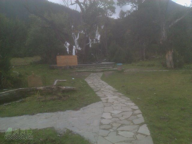 雅鲁臧布大峡谷，南一沟照片37
