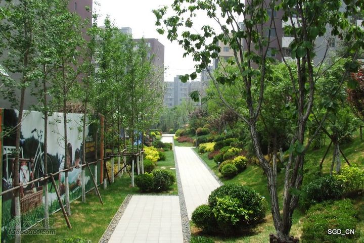 大连_看房DSCF8652-1