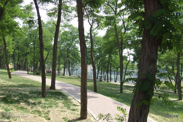 大连_看房DSCF8730-1