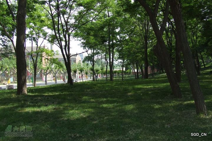 大连_看房DSCF8734-1
