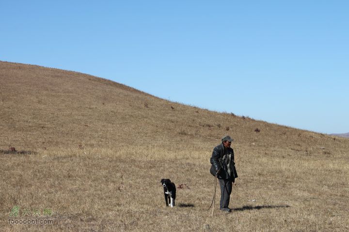 2011年十一呼伦贝尔游IMG_2609