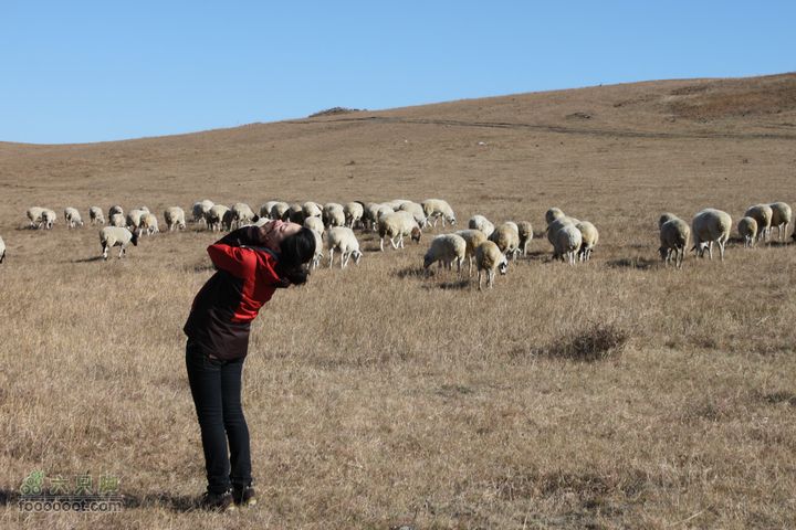 2011年十一呼伦贝尔游IMG_2612