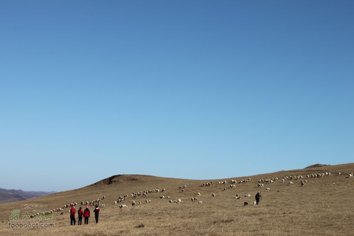 2011年十一呼伦贝尔游IMG_2632