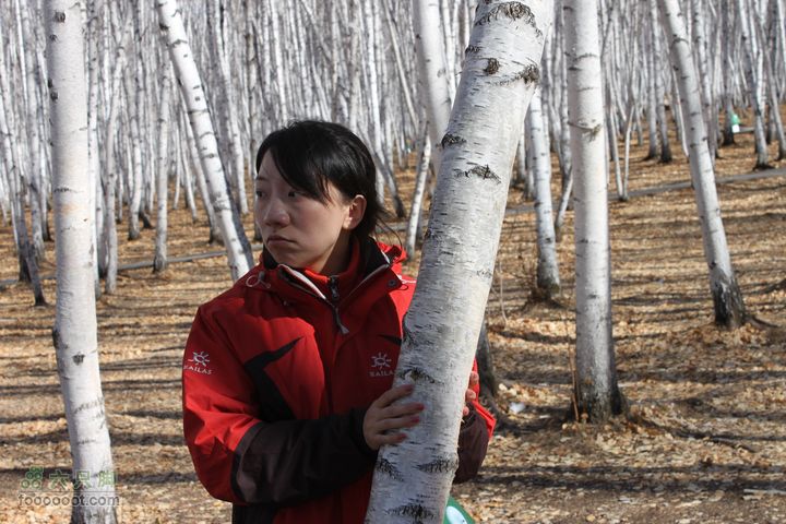 2011年十一呼伦贝尔游IMG_2671