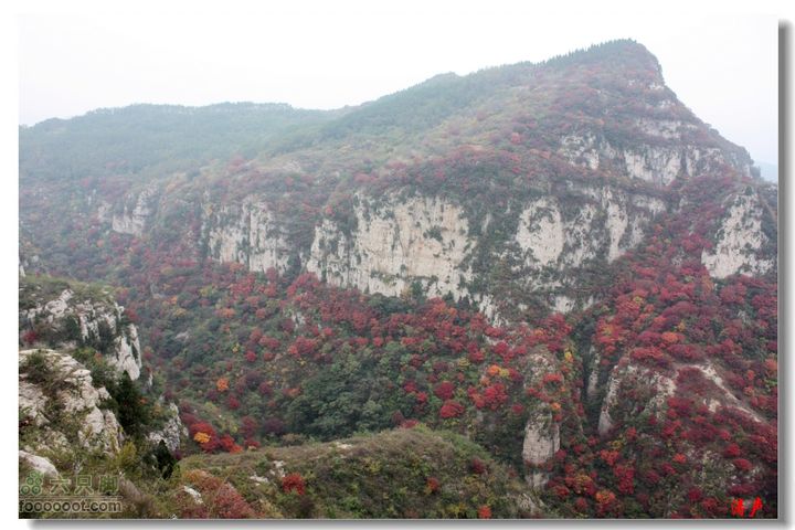 王疃朝阳洞大寨珍珠峪山谷红叶