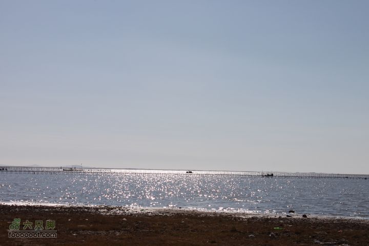 2011年十一呼伦贝尔游IMG_3990