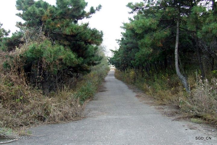 铁岭_大台山DSCF3911-1