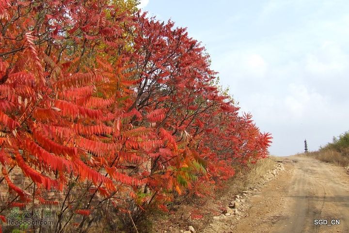 铁岭_大台山DSCF3653-1