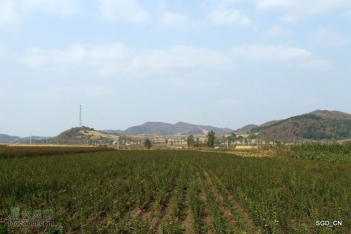 银州区_柴河堡_大甸子DSCF3504-1
