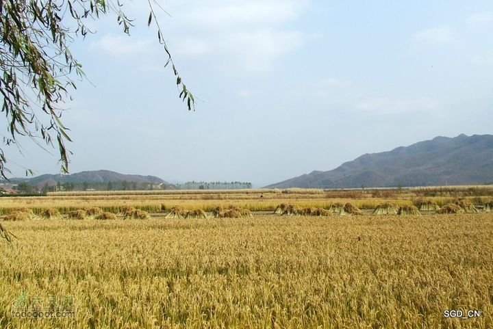 银州区_柴河堡_大甸子DSCF3512-1