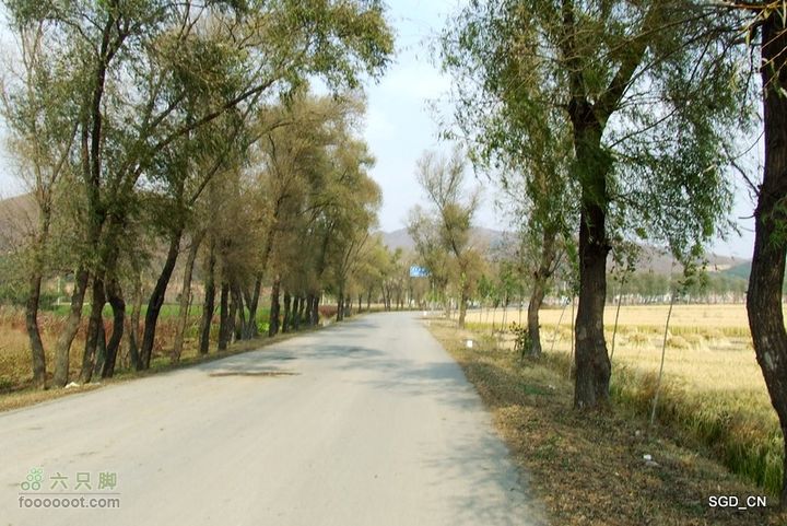 银州区_柴河堡_大甸子DSCF3517-1