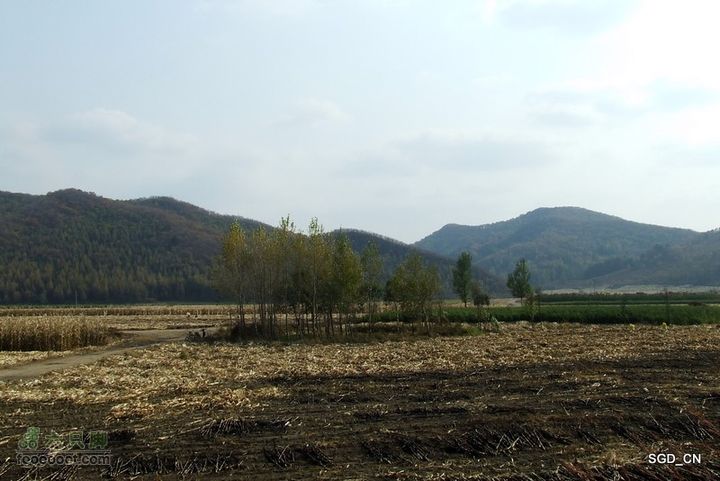 银州区_柴河堡_大甸子DSCF3518-1