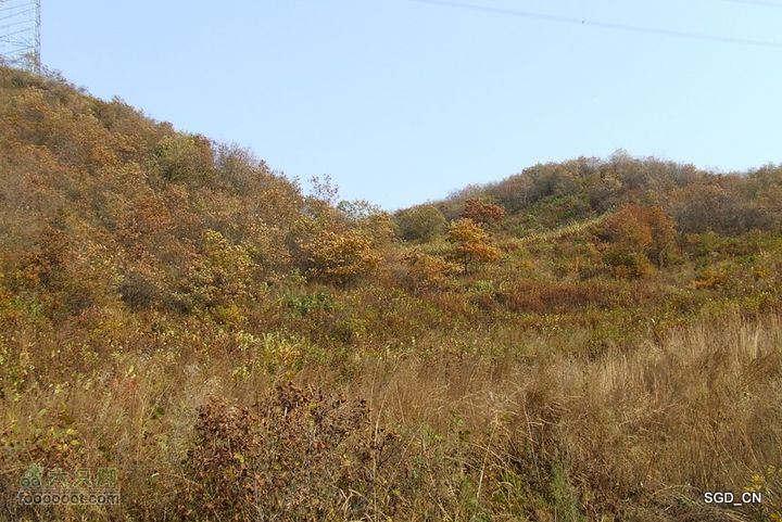 银州区_柴河堡_大甸子DSCF3526-1