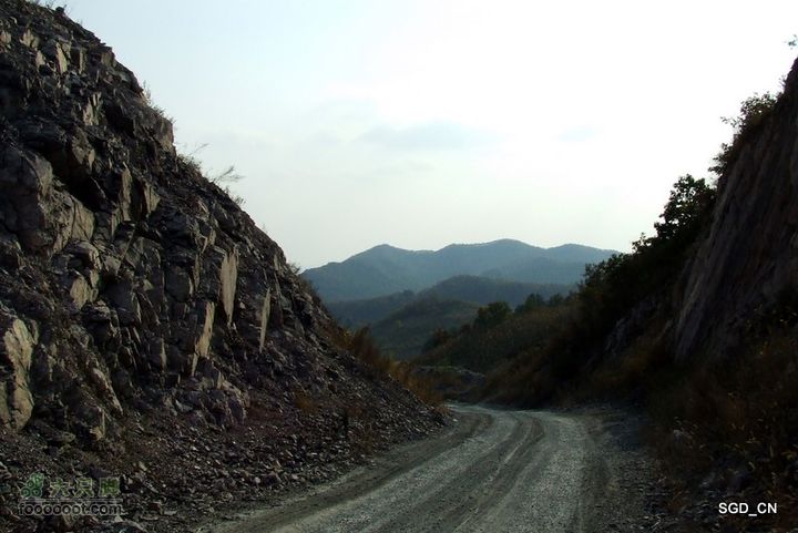 银州区_柴河堡_大甸子DSCF3535-1