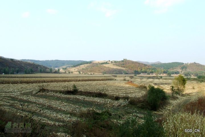 银州区_柴河堡_大甸子DSCF3538-1