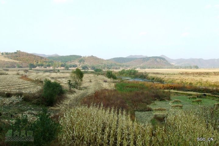 银州区_柴河堡_大甸子DSCF3540-1