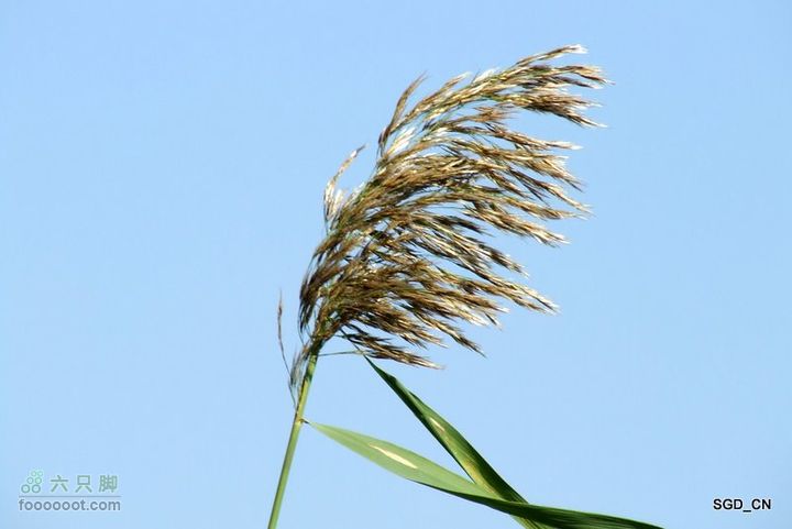 十一骑行新区DSCF2905-1