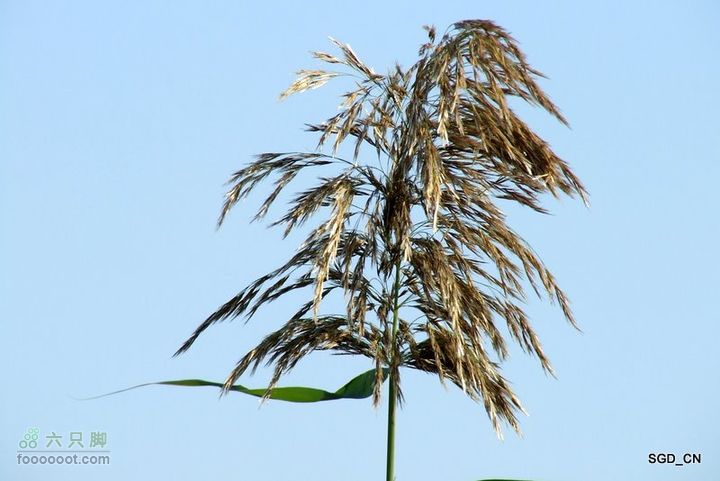 十一骑行新区DSCF2906-1