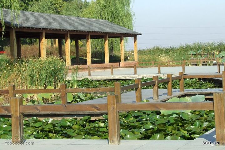十一骑行新区DSCF2936-1
