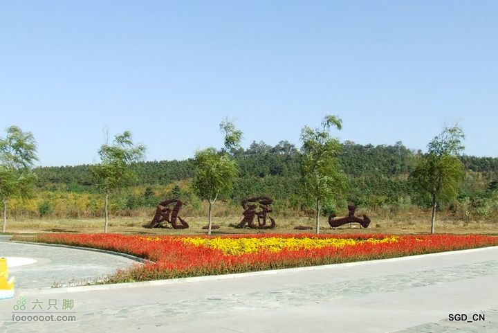 十一骑行新区DSCF2948-1