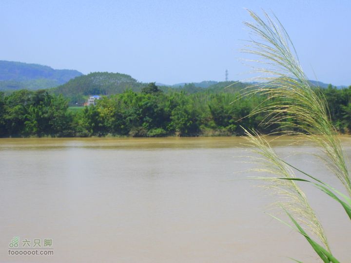 20111016河源-惠州东江东岸顺流而行骑行东江边的茅草